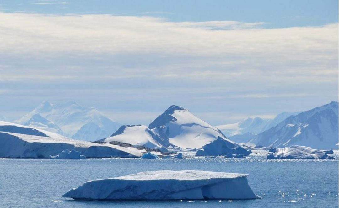 Môi trường lạnh giá thích hợp cho chó Alaska phát triển tốt nhất 