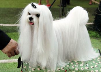 Tạo một môi trường tốt sẽ khiến sức khỏe và tinh thần tốt hơn