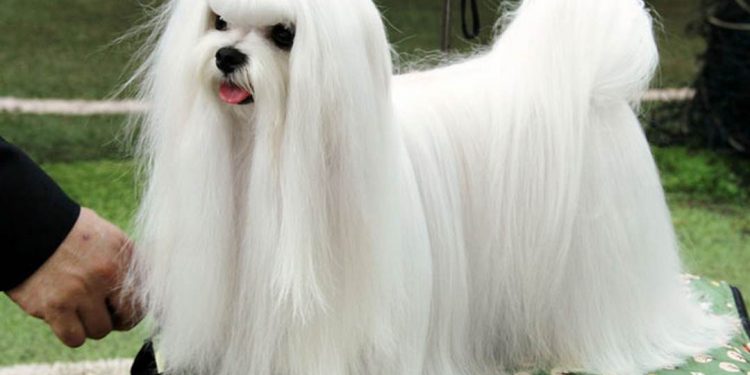 Tạo một môi trường tốt sẽ khiến sức khỏe và tinh thần tốt hơn