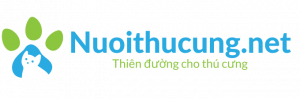 logo-nuoithucung