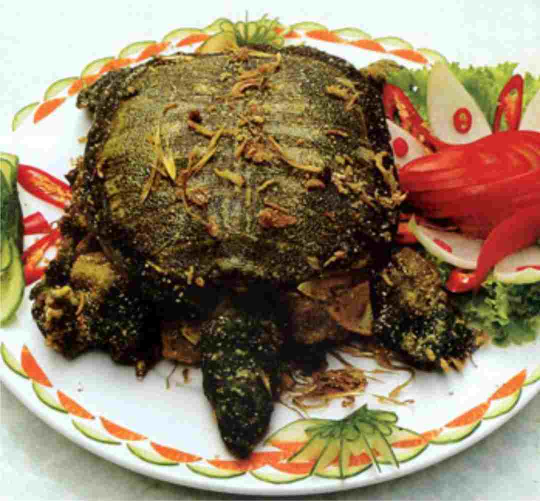 Rùa này được chế biến kỹ và là một món ăn đặc sản