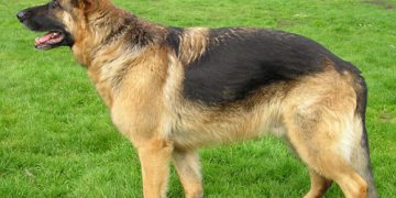 Cách tạo môi trường an toàn