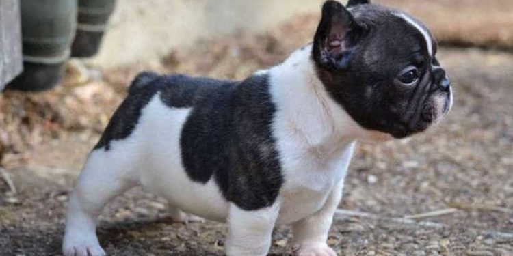 Những yếu tố ảnh hưởng đến giá cả