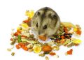Các loại thức ăn của chuột hamster