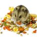 Các loại thức ăn của chuột hamster
